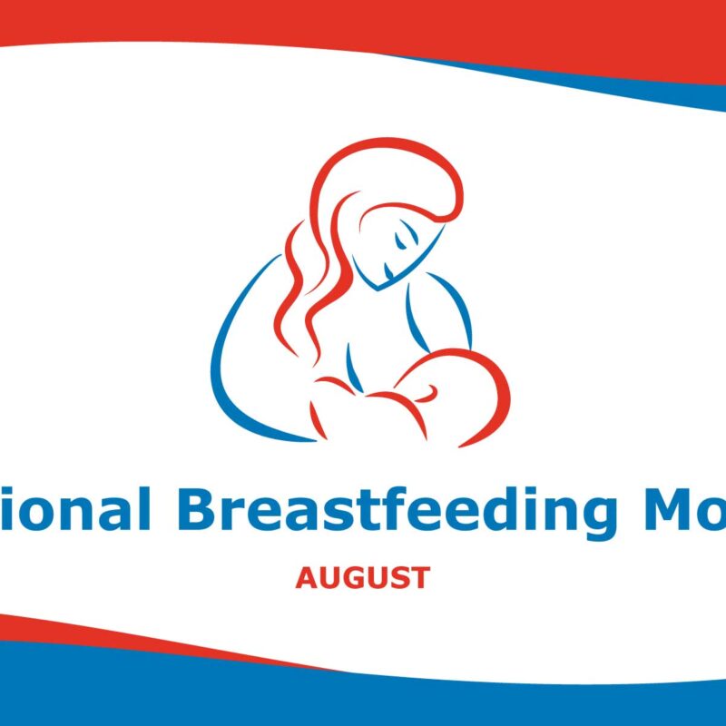 A blue, orange, and white logo with an outline drawing of a breastfeeding mom and infant with the text National Breastfeeding Month August below